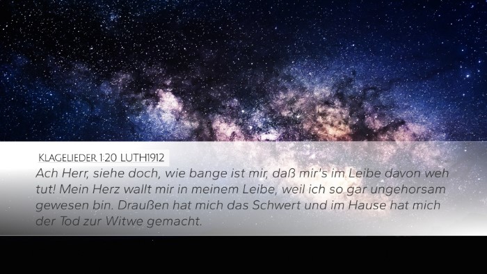 Klagelieder 1:20 LUTH1912 Bible Verse Image