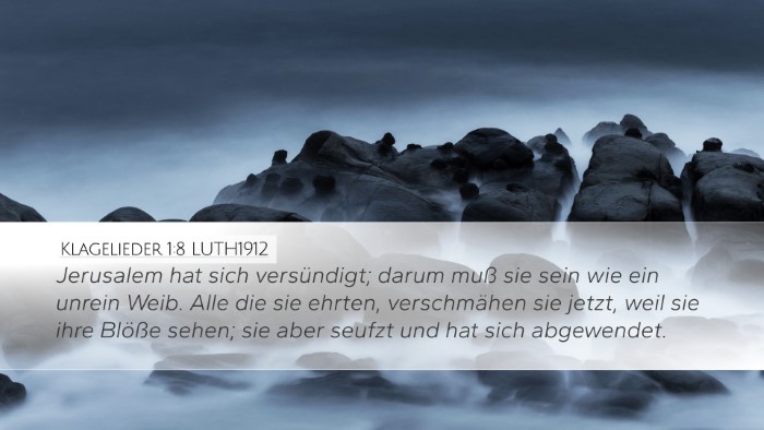 Klagelieder 1:8 LUTH1912 Bible Verse Image