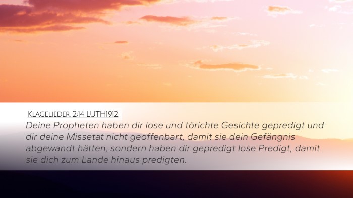 Klagelieder 2:14 LUTH1912 Bible Verse Image