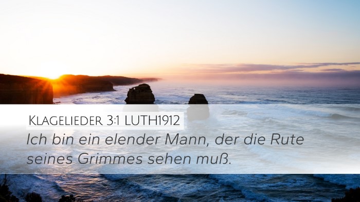 Klagelieder 3:1 LUTH1912 Bible Verse Image