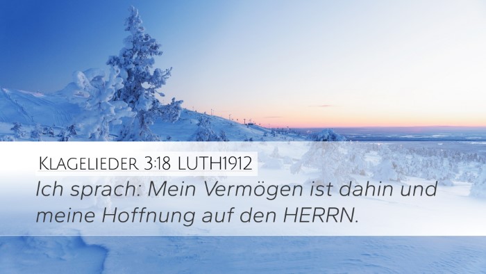 Klagelieder 3:18 LUTH1912 Bible Verse Image