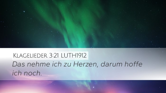 Klagelieder 3:21 LUTH1912 Bible Verse Image