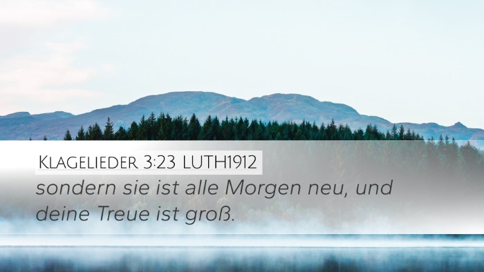 Klagelieder 3:23 LUTH1912 Bible Verse Image
