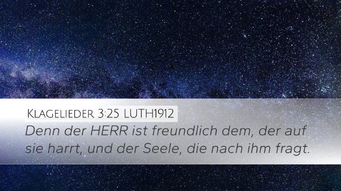Klagelieder 3:25 LUTH1912 Bible Verse Image