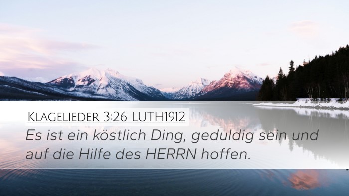 Klagelieder 3:26 LUTH1912 Bible Verse Image