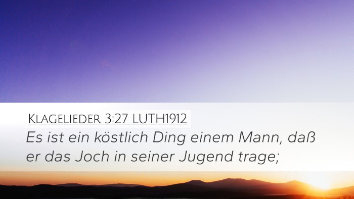 Klagelieder 3:27 LUTH1912 Bible Verse Image