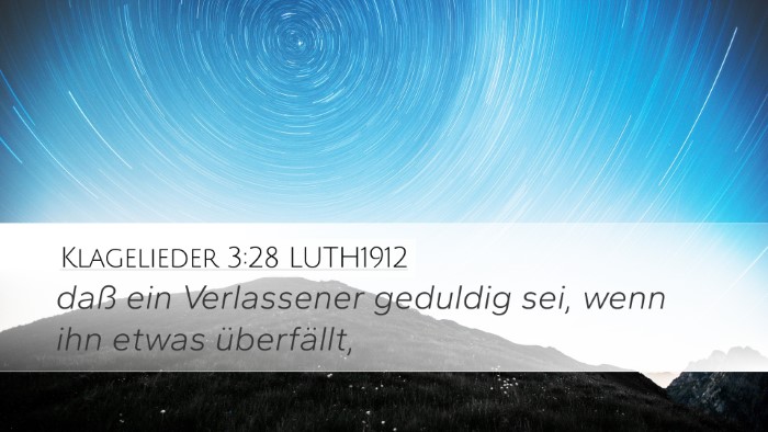 Klagelieder 3:28 LUTH1912 Bible Verse Image