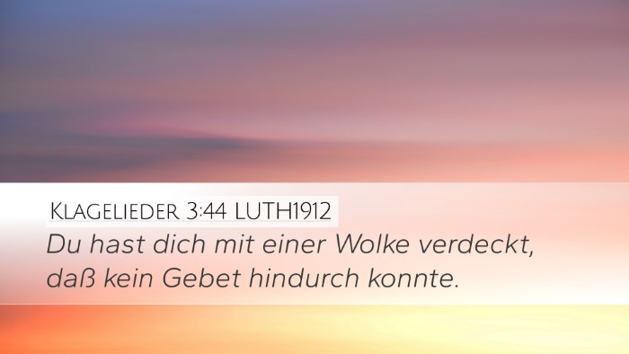 Klagelieder 3:44 LUTH1912 Bible Verse Image