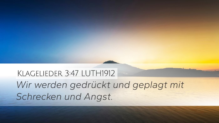 Klagelieder 3:47 LUTH1912 Bible Verse Image