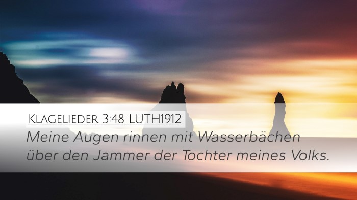 Klagelieder 3:48 LUTH1912 Bible Verse Image