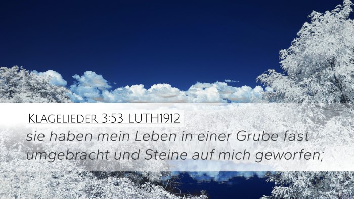 Klagelieder 3:53 LUTH1912 Bible Verse Image