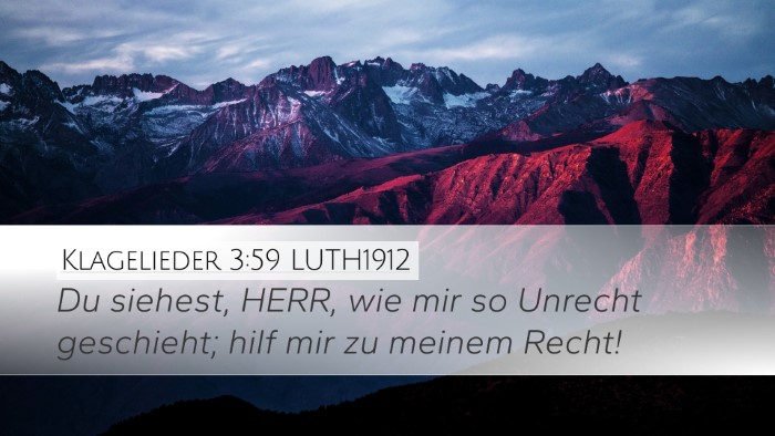 Klagelieder 3:59 LUTH1912 Bible Verse Image