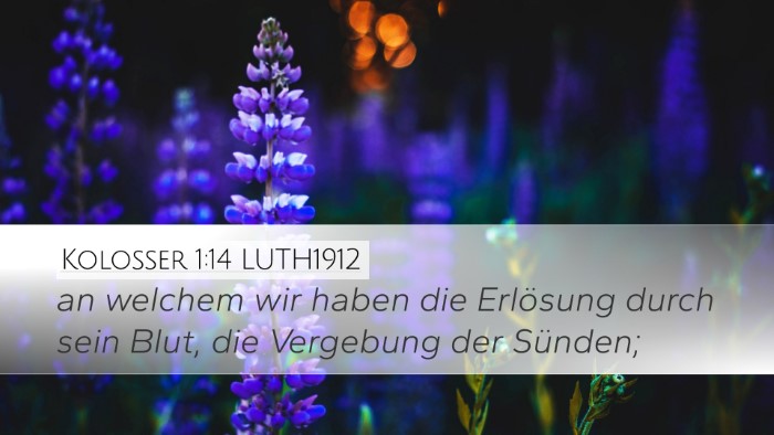 Kolosser 1:14 LUTH1912 Bible Verse Image