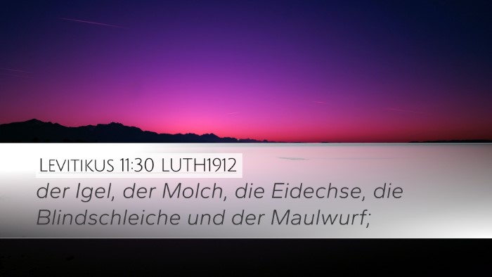 Levitikus 11:30 LUTH1912 Desktop Wallpaper - der Igel, der Molch, die Eidechse, die - Desktop Bible Verse Wallpaper