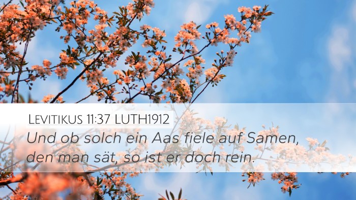 Levitikus 11:37 LUTH1912 Desktop Wallpaper - Und ob solch ein Aas fiele auf Samen, den man - Desktop Bible Verse Wallpaper