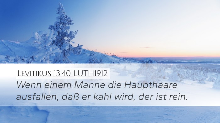 Levitikus 13:40 LUTH1912 Desktop Wallpaper - Wenn einem Manne die Haupthaare ausfallen, daß - Desktop Bible Verse Wallpaper