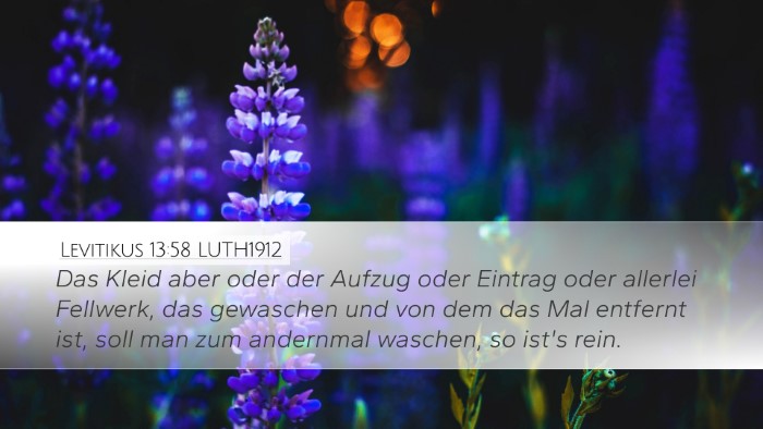 Levitikus 13:58 LUTH1912 Desktop Wallpaper - Das Kleid aber oder der Aufzug oder Eintrag oder - Desktop Bible Verse Wallpaper
