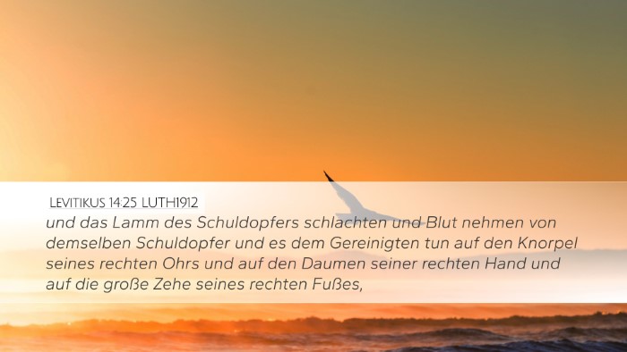 Levitikus 14:25 LUTH1912 Desktop Wallpaper - und das Lamm des Schuldopfers schlachten und Blut - Desktop Bible Verse Wallpaper