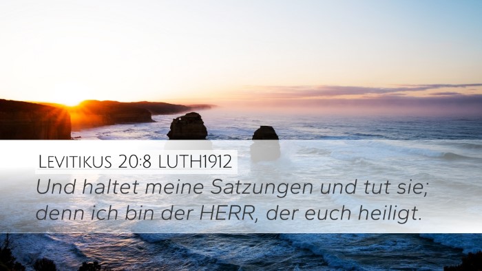 Levitikus 20:8 LUTH1912 Bible Verse Image