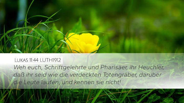 Lukas 11:44 LUTH1912 Bible Verse Image