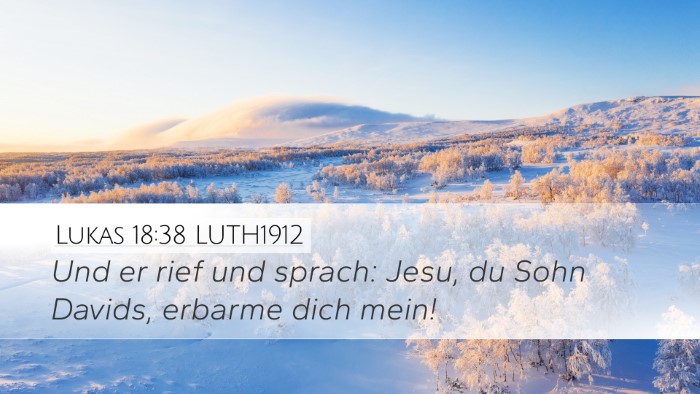 Lukas 18:38 LUTH1912 Bible Verse Image