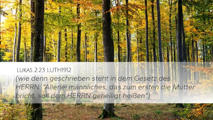 Lukas 2:23 LUTH1912 Bible Verse Image