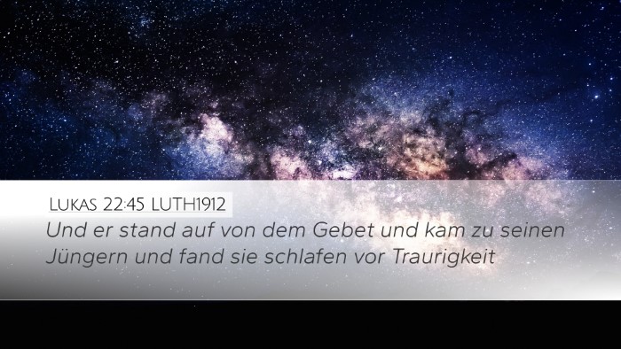 Lukas 22:45 LUTH1912 Bible Verse Image