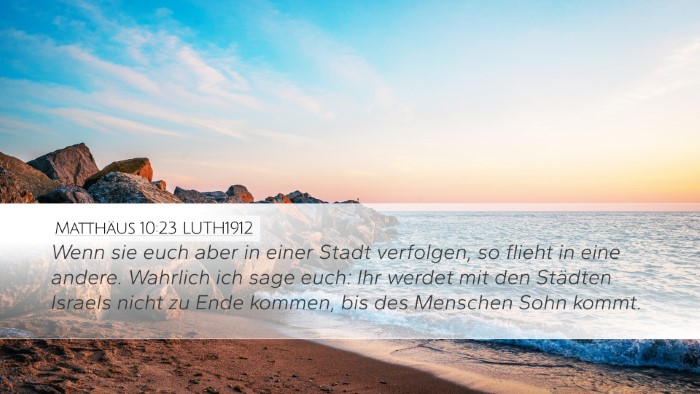 Matthäus 10:23 LUTH1912 Bible Verse Image