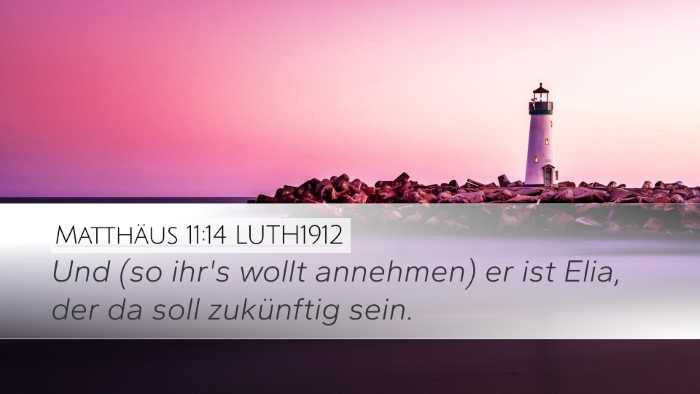 Matthäus 11:14 LUTH1912 Bible Verse Image