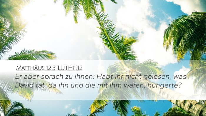Matthäus 12:3 LUTH1912 Bible Verse Image