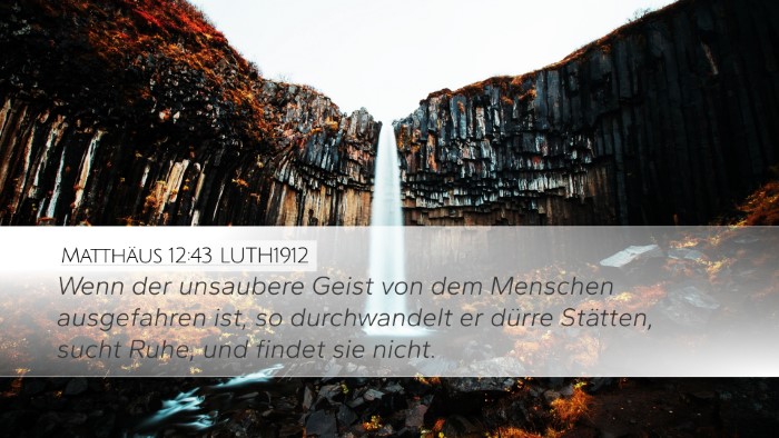 Matthäus 12:43 LUTH1912 Bible Verse Image