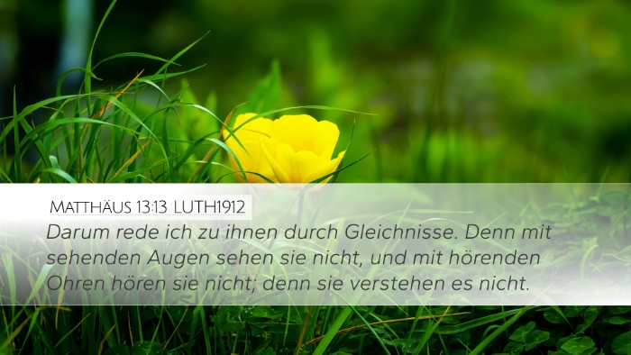Matthäus 13:13 LUTH1912 Bible Verse Image