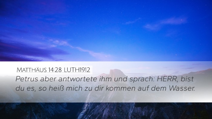 Matthäus 14:28 LUTH1912 Desktop Wallpaper - Petrus aber antwortete ihm und sprach: HERR, bist - Desktop Bible Verse Wallpaper