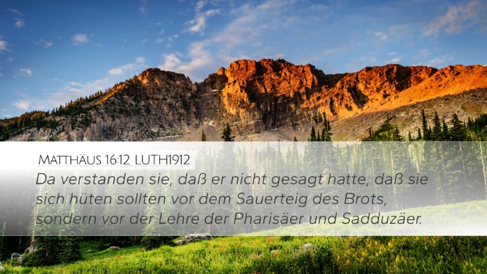 Matthäus 16:12 LUTH1912 Bible Verse Image