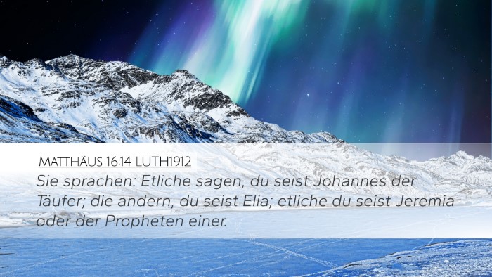 Matthäus 16:14 LUTH1912 Bible Verse Image