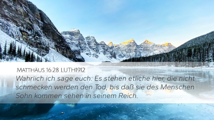 Matthäus 16:28 LUTH1912 Bible Verse Image