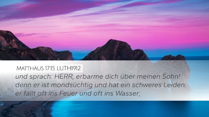 Matthäus 17:15 LUTH1912 Bible Verse Image