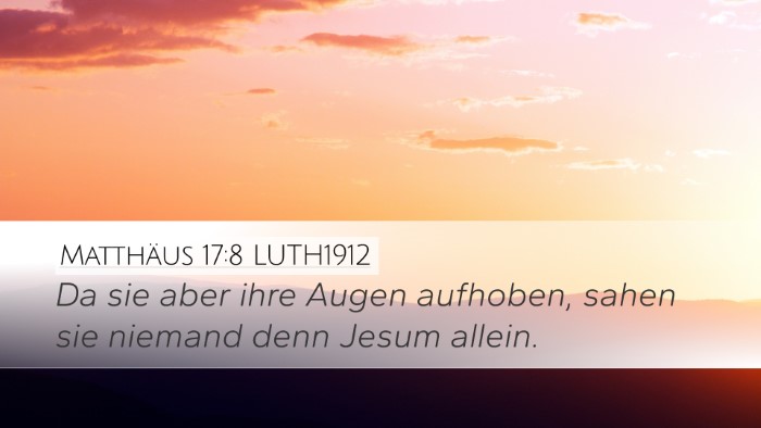 Matthäus 17:8 LUTH1912 Desktop Wallpaper - Da sie aber ihre Augen aufhoben, sahen sie - Desktop Bible Verse Wallpaper