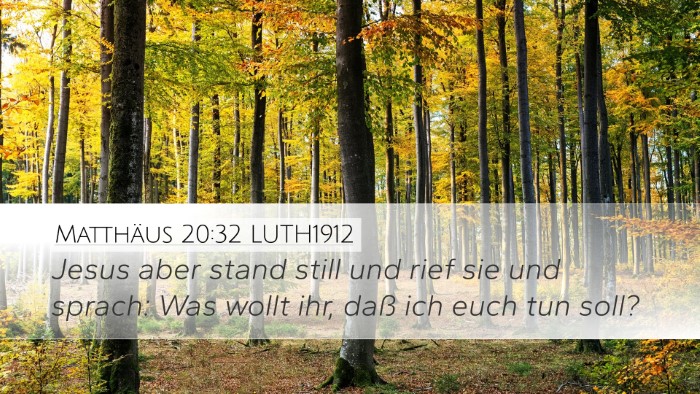 Matthäus 20:32 LUTH1912 Bible Verse Image
