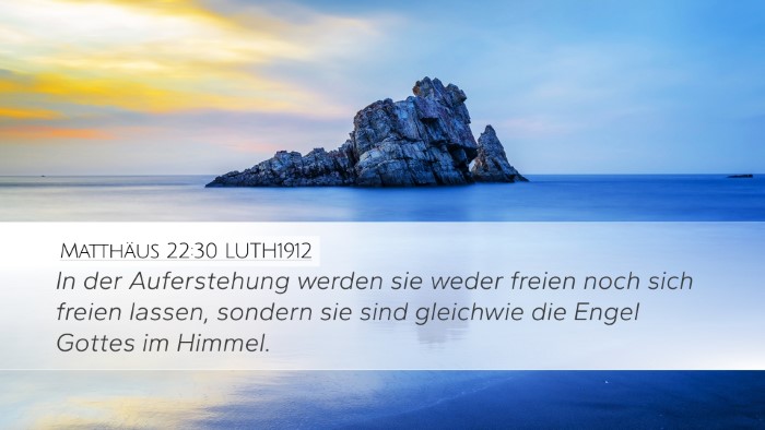 Matthäus 22:30 LUTH1912 Bible Verse Image