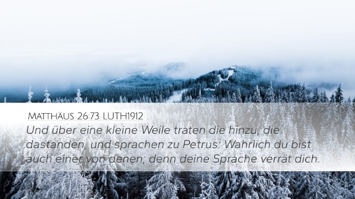 Matthäus 26:73 LUTH1912 Bible Verse Image