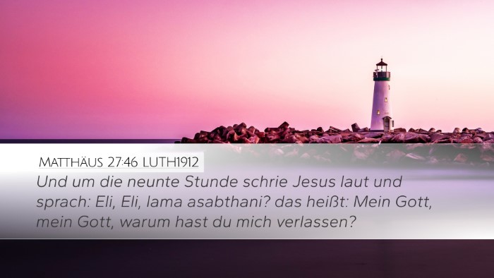 Matthäus 27:46 LUTH1912 Bible Verse Image
