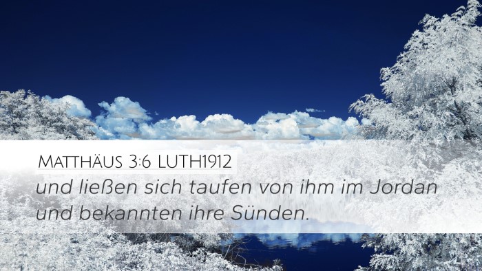 Matthäus 3:6 LUTH1912 Bible Verse Image