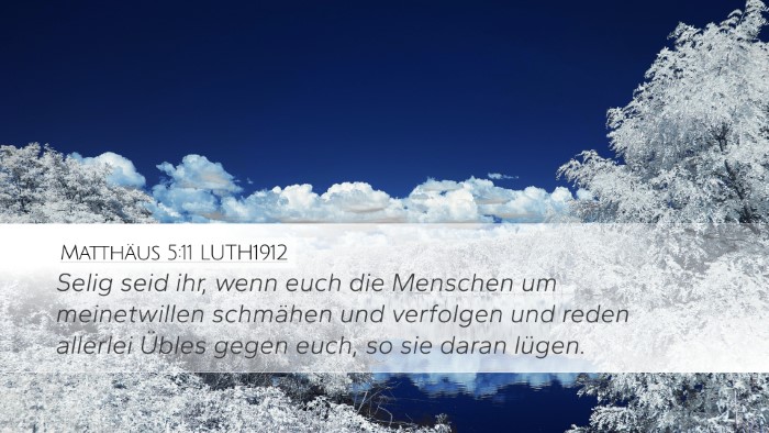 Matthäus 5:11 LUTH1912 Bible Verse Image