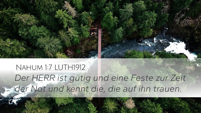 Nahum 1:7 LUTH1912 Bible Verse Image