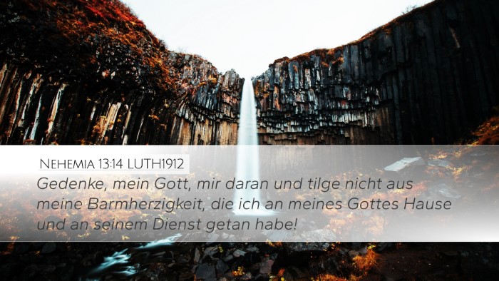 Nehemia 13:14 LUTH1912 Bible Verse Image