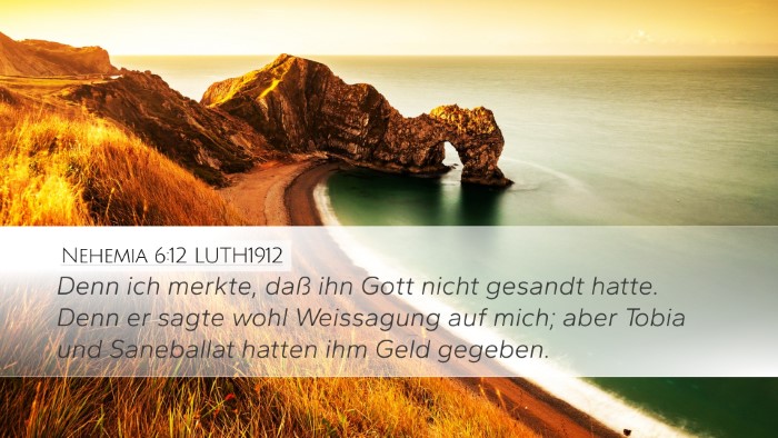 Nehemia 6:12 LUTH1912 Bible Verse Image