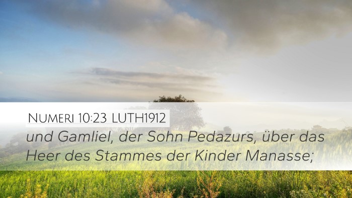 Numeri 10:23 LUTH1912 Bible Verse Image