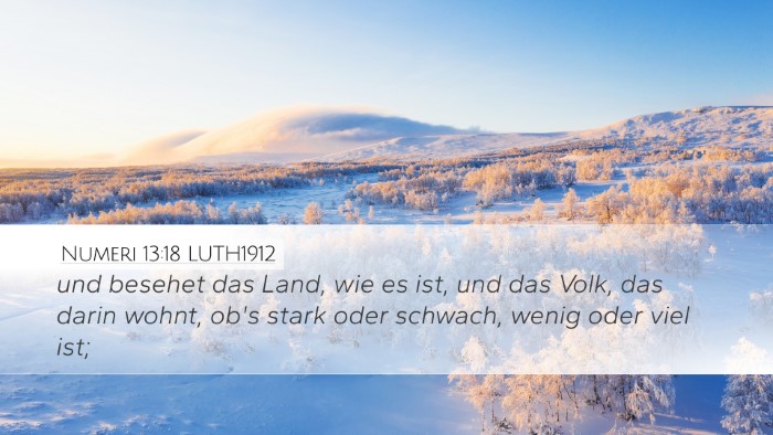 Numeri 13:18 LUTH1912 Desktop Wallpaper - und besehet das Land, wie es ist, und das Volk, - Desktop Bible Verse Wallpaper