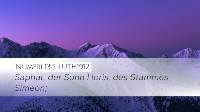 Numeri 13:5 LUTH1912 Desktop Wallpaper - Saphat, der Sohn Horis, des Stammes - Desktop Bible Verse Wallpaper
